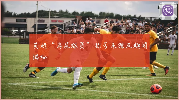 英超“鸟屎球员”称号来源及趣闻揭秘