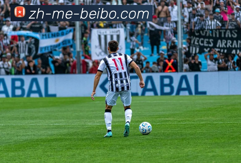 BB体育下载品牌故事